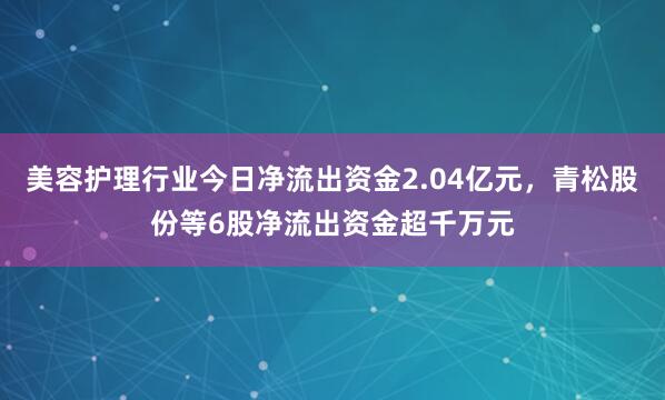 美容护理行业今日净流出资金2.04亿元，青松股份等6股净流出资金超千万元
