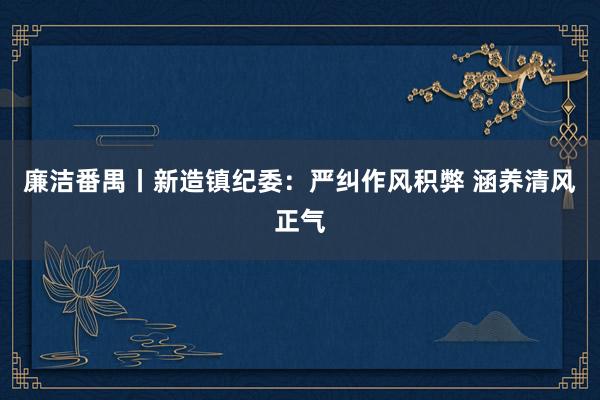 廉洁番禺丨新造镇纪委：严纠作风积弊 涵养清风正气