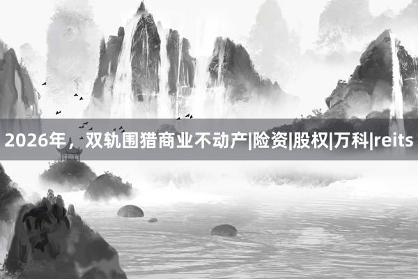 2026年，双轨围猎商业不动产|险资|股权|万科|reits