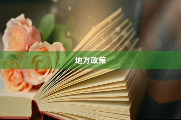 地方政策