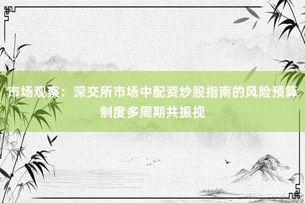 市场观察：深交所市场中配资炒股指南的风险预算制度多周期共振视