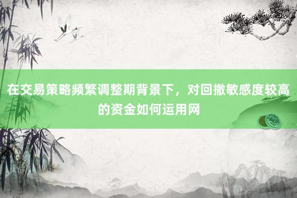 在交易策略频繁调整期背景下，对回撤敏感度较高的资金如何运用网