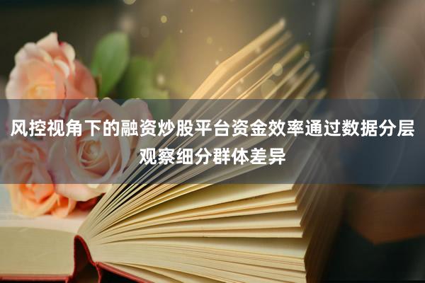 风控视角下的融资炒股平台资金效率通过数据分层观察细分群体差异