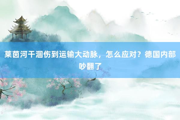 莱茵河干涸伤到运输大动脉，怎么应对？德国内部吵翻了