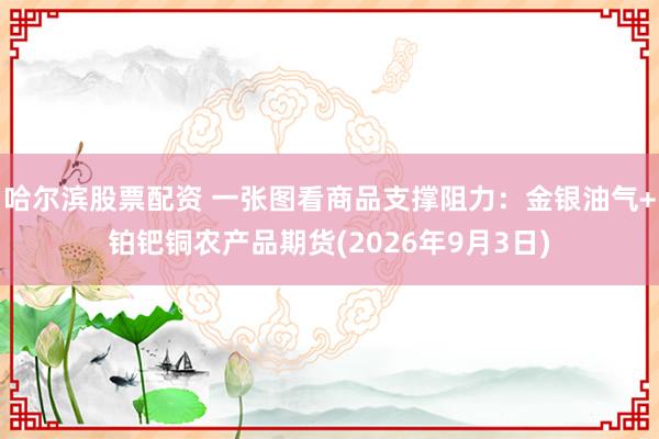 哈尔滨股票配资 一张图看商品支撑阻力：金银油气+铂钯铜农产品期货(2026年9月3日)