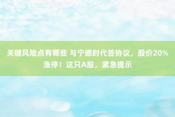关键风险点有哪些 与宁德时代签协议，股价20%涨停！这只A股，紧急提示