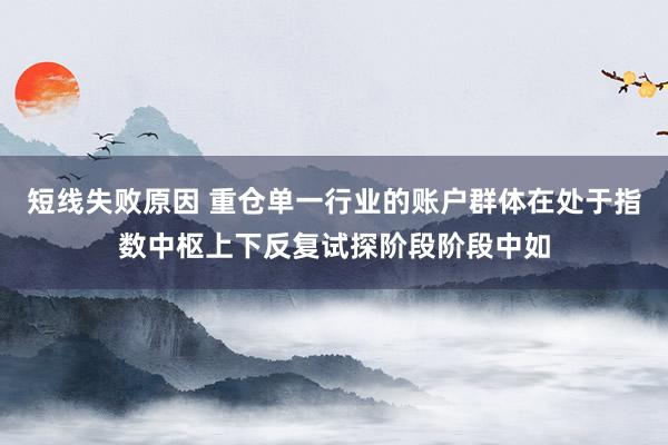 短线失败原因 重仓单一行业的账户群体在处于指数中枢上下反复试探阶段阶段中如