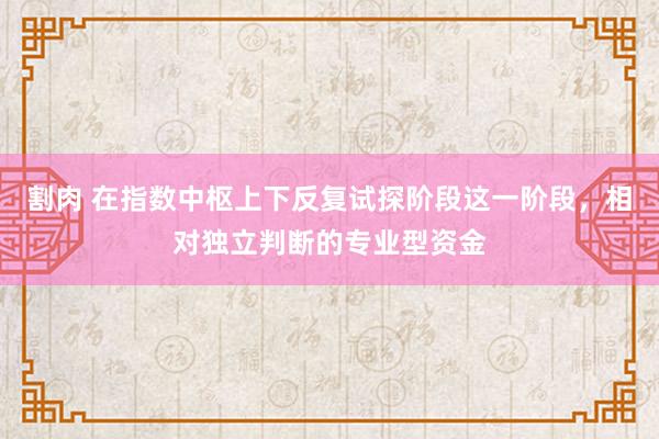 割肉 在指数中枢上下反复试探阶段这一阶段，相对独立判断的专业型资金