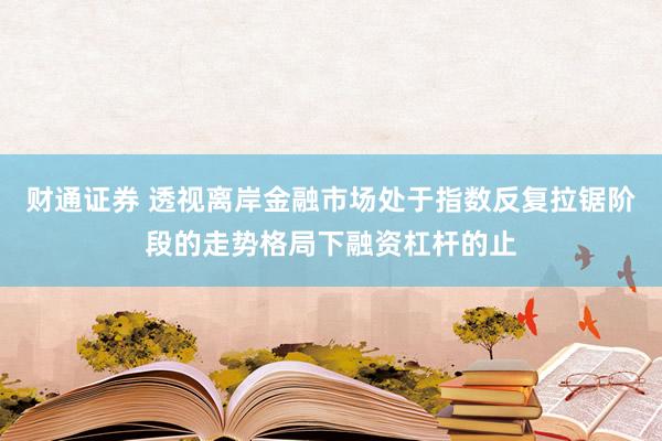 财通证券 透视离岸金融市场处于指数反复拉锯阶段的走势格局下融资杠杆的止
