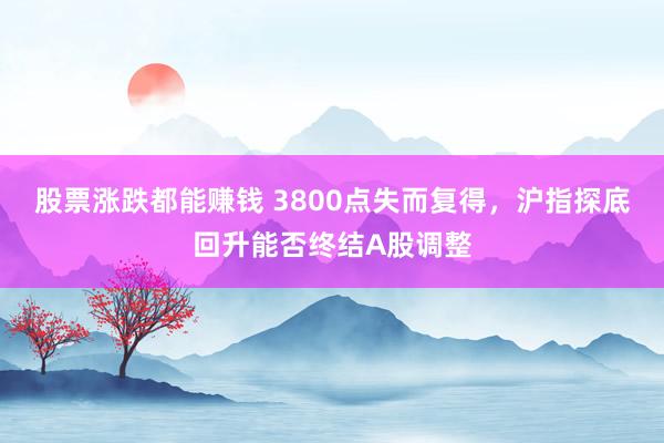 股票涨跌都能赚钱 3800点失而复得，沪指探底回升能否终结A股调整